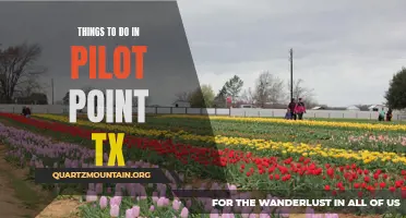 12 Fun Things to Do in Pilot Point TX