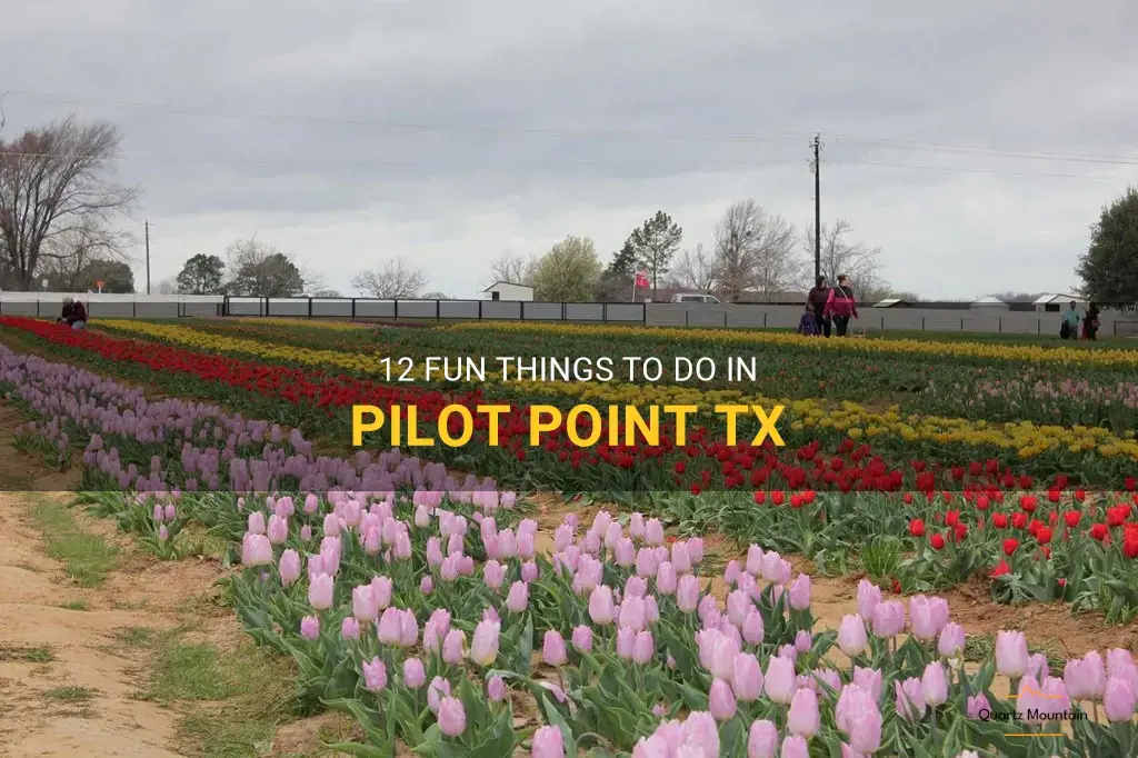 things to do in pilot point tx