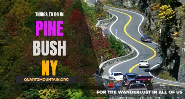 12 Fun Activities to Try in Pine Bush, NY