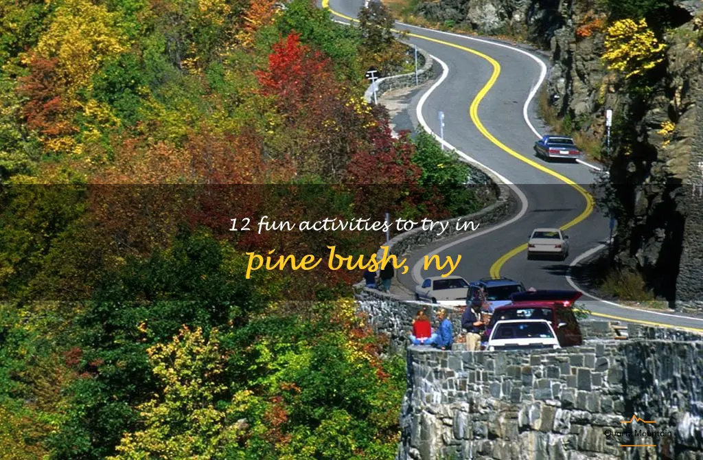 things to do in pine bush ny