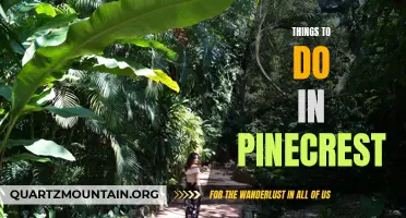12 Awesome Activities In Pinecrest