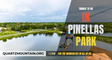 10 Fun Activities to Do in Pinellas Park, Florida