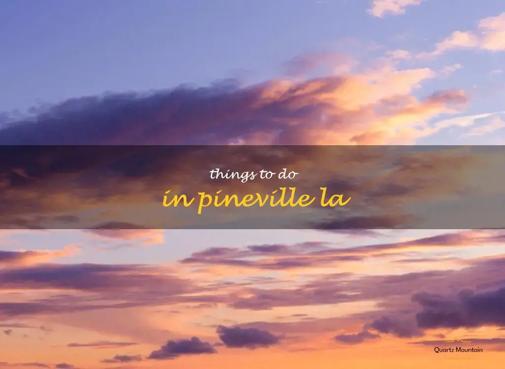 things to do in pineville la