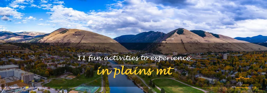 things to do in plains mt