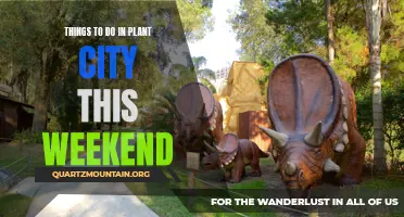 12 Fun Activities to Check Out in Plant City this Weekend