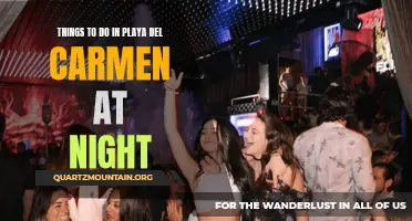 10 Fun Things to Do in Playa del Carmen at Night