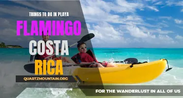11 Amazing Activities to Experience in Playa Flamingo, Costa Rica