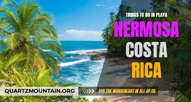 14 Must-Do Activities in Playa Hermosa, Costa Rica