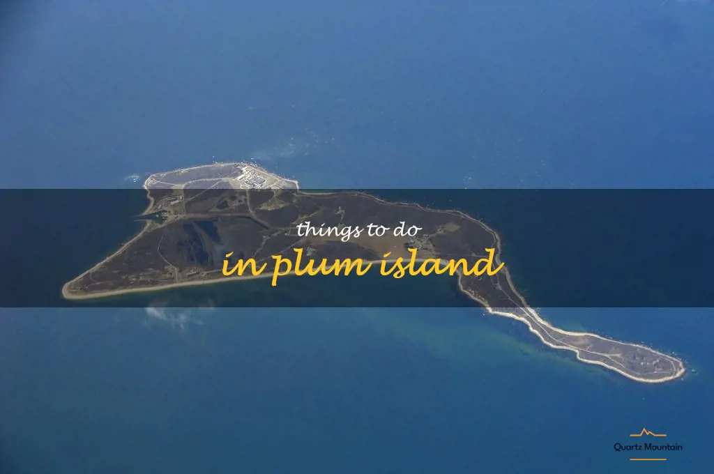 things to do in plum island