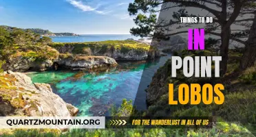 12 Unique Things to Do in Point Lobos State Natural Reserve
