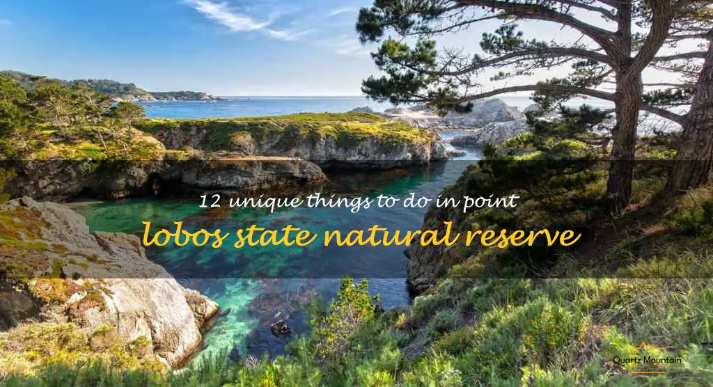 things to do in point lobos