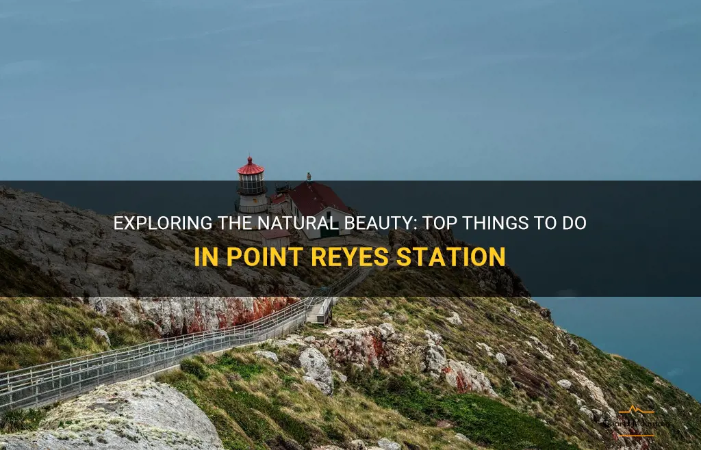things to do in point reyes station