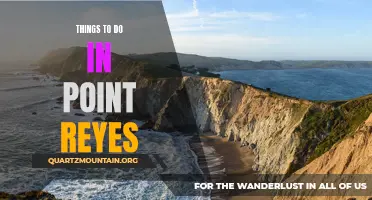 13 Fun Things to Do in Point Reyes National Seashore