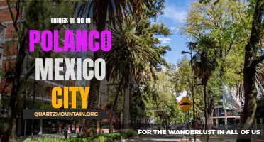 14 Must-Do Activities in Polanco, Mexico City