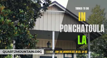 12 Fun and Interesting Things to Do in Ponchatoula, LA