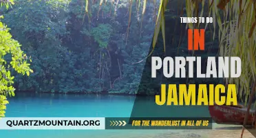 10 Amazing Things to Do in Portland Jamaica