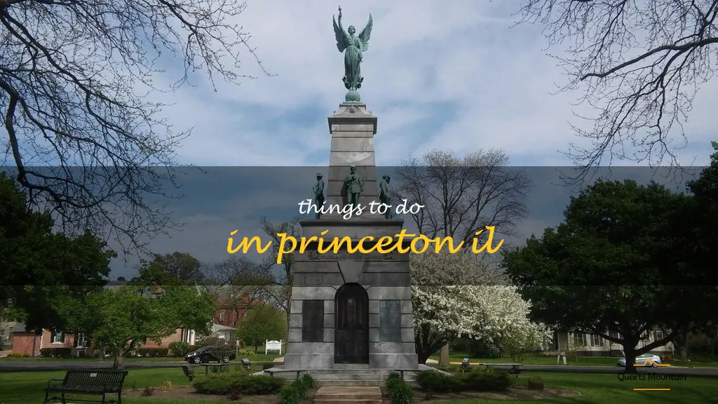 things to do in princeton il