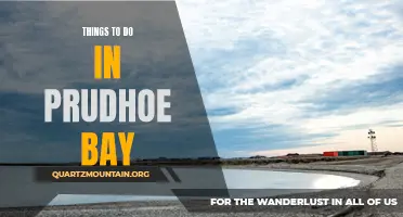 12 Exciting Activities to Experience in Prudhoe Bay