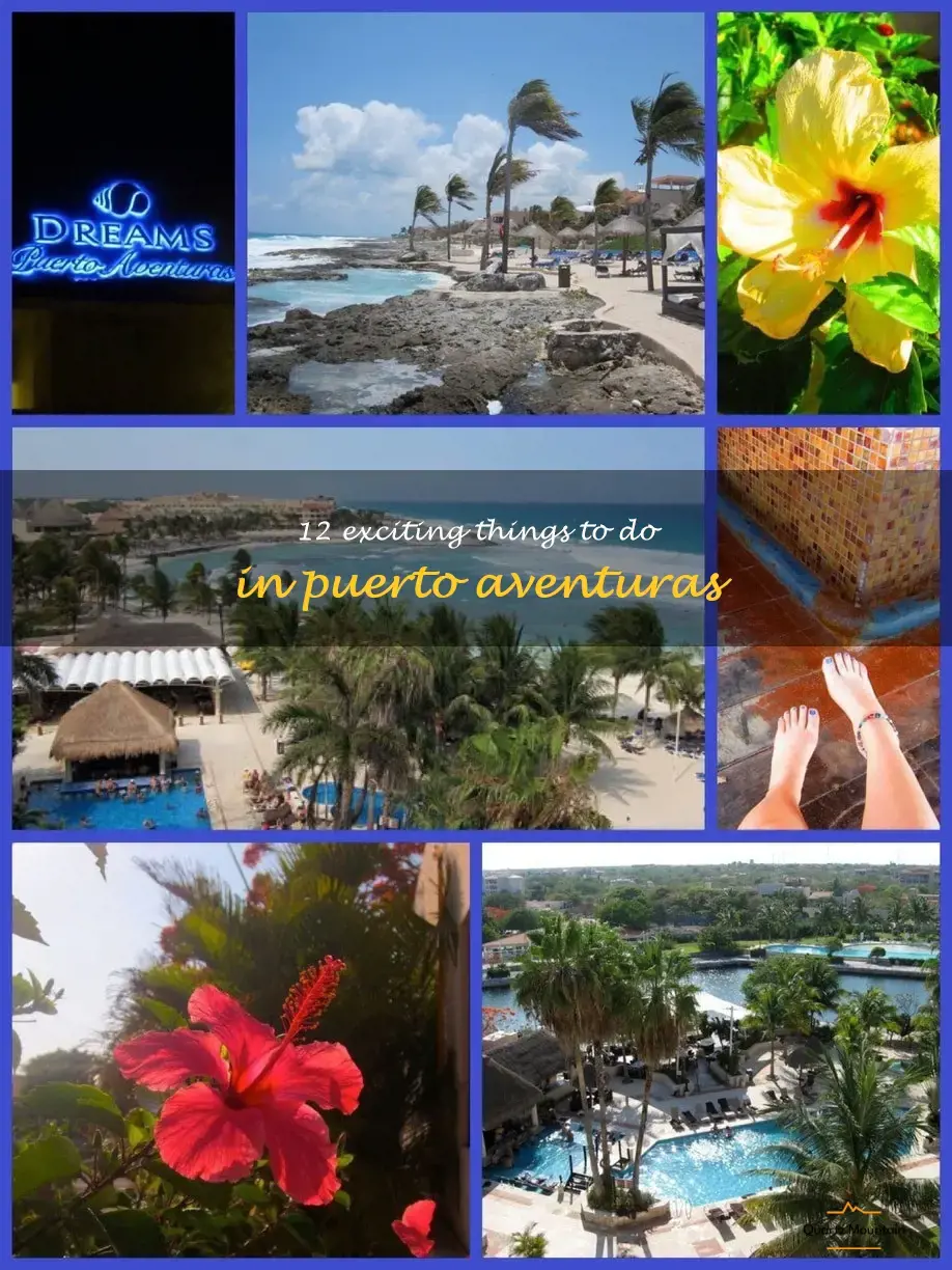 things to do in puerto aventuras