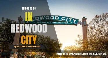 12 Fun Things to Do in Redwood City