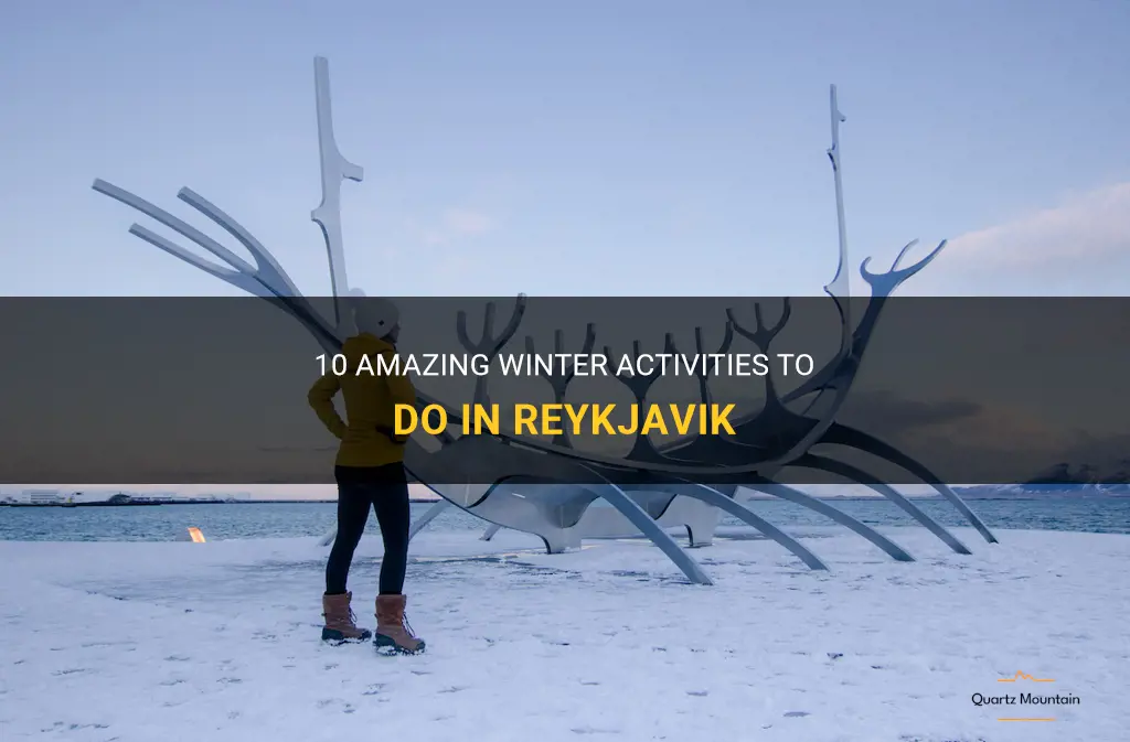 things to do in reykjavik in winter