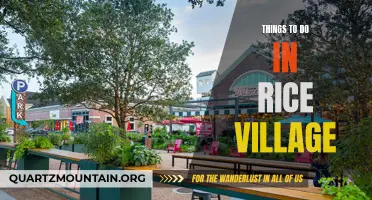 12 Fun Things to Do in Rice Village