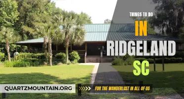 12 Exciting Activities to Experience in Ridgeland SC