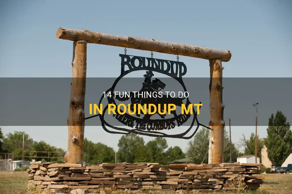 things to do in roundup mt