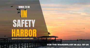 13 Fun Things to Do in Safety Harbor, FL