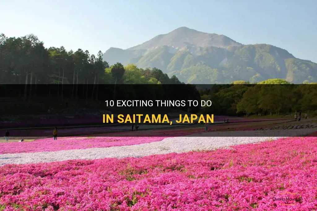 things to do in saitama in Japan