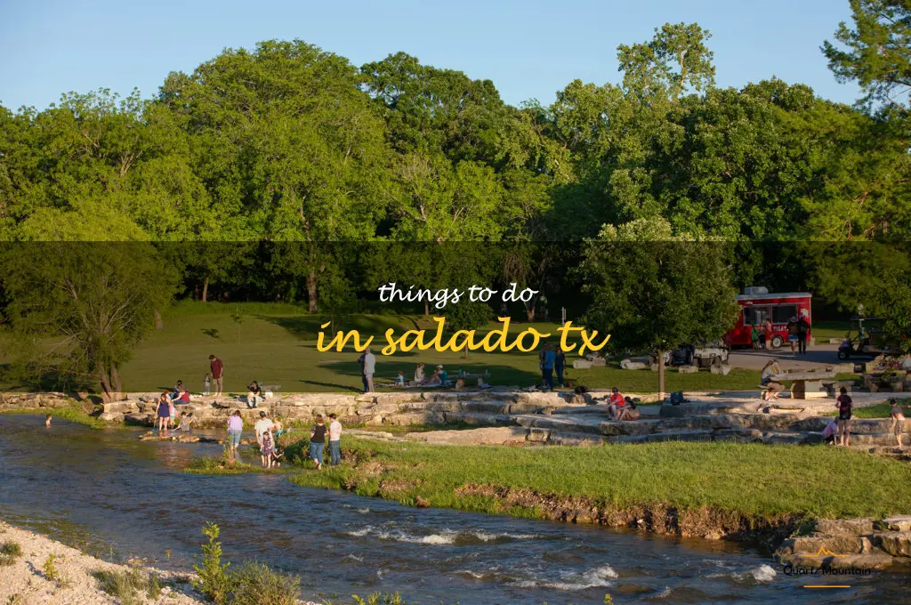 things to do in salado tx