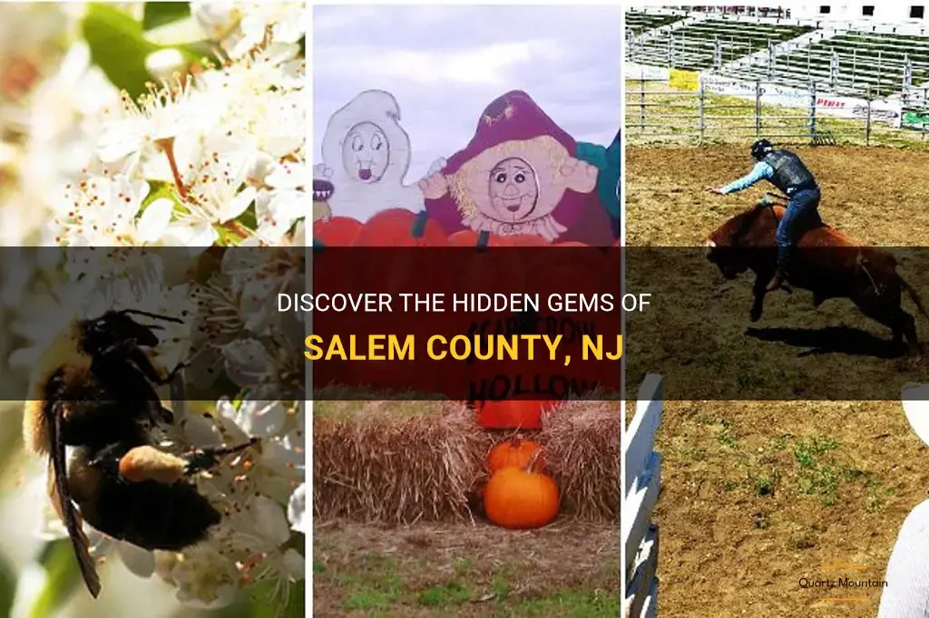 things to do in salem county nj