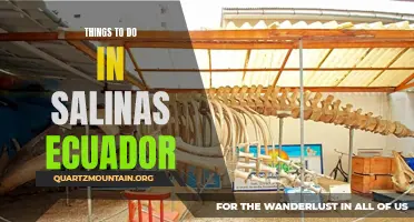 Best Activities in Salinas Ecuador