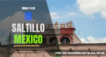 Exploring the Hidden Gems: Top Things to Do in Saltillo, Mexico