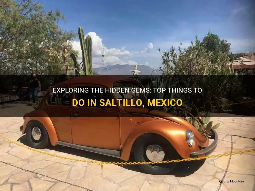 things to do in saltillo mexico