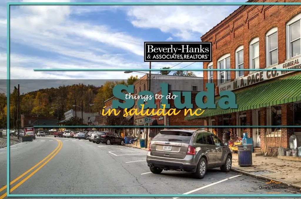 things to do in saluda nc