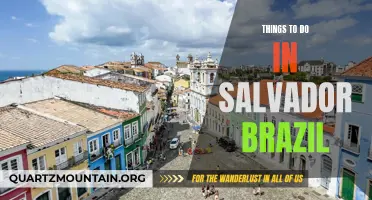 11 Must-Do Activities in Salvador, Brazil