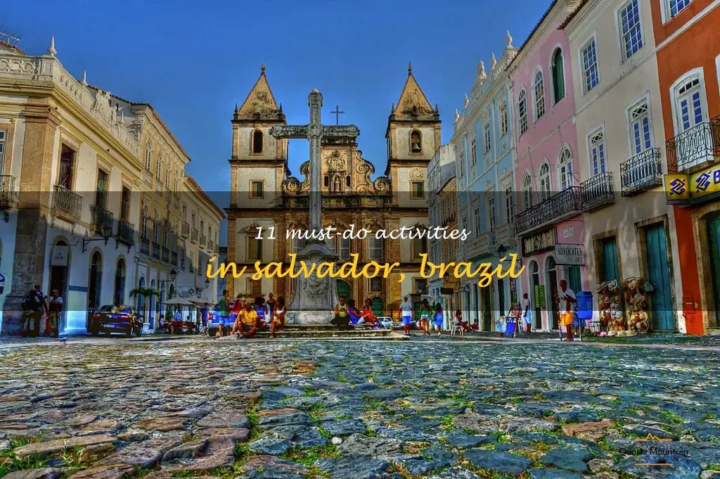 things to do in salvador brazil