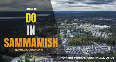 12 Exciting Things to Do in Sammamish for a Fun-Filled Day