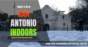 14 Fun Things to Do in San Antonio During the Winter Months