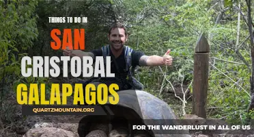 Exploring San Cristobal Galapagos: Top Activities and Attractions