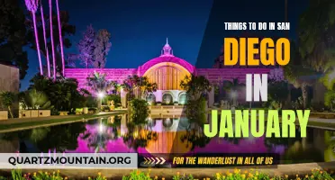 12 Fun Activities to Experience in San Diego in January