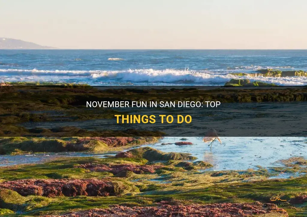 things to do in san diego in november