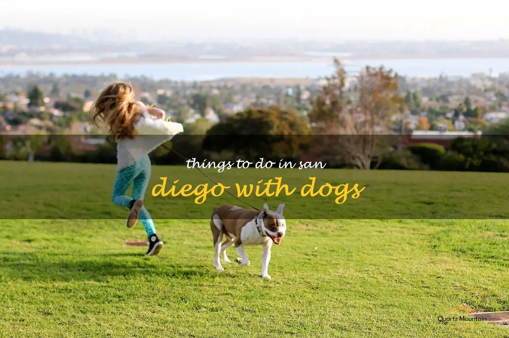 things to do in san diego with dogs
