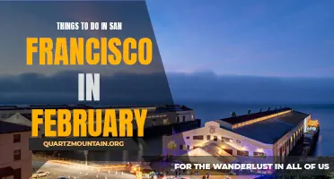 10 Unique Activities to Enjoy in San Francisco in February
