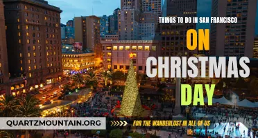 10 Festive Things to Do in San Francisco on Christmas Day