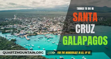 Exploring Santa Cruz: Best Activities in Galapagos