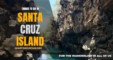12 Amazing Activities to Experience on Santa Cruz Island