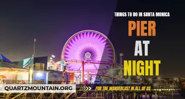 Exploring the Buzzing Nightlife: Top Things to Do at Santa Monica Pier After Dark
