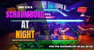 12 Exciting Activities for Your Night in Schaumburg!